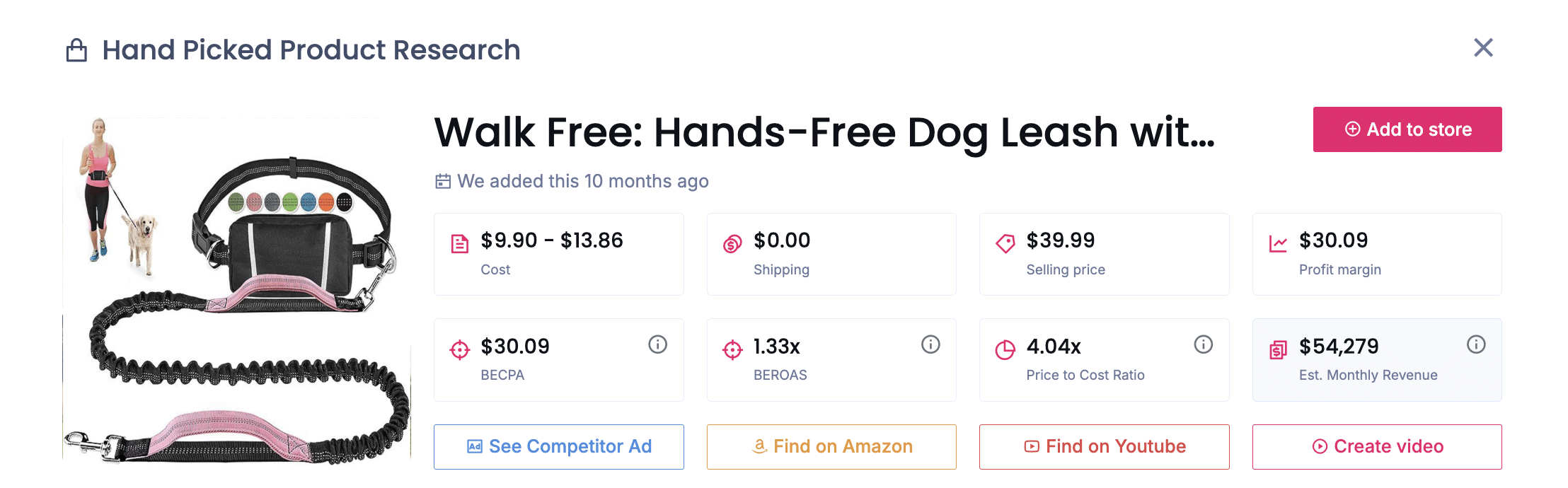 Hands-Free Dog Leash with Storage
